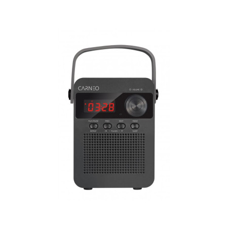 CARNEO F90 FM rádio, BT reproduktor, black/wood