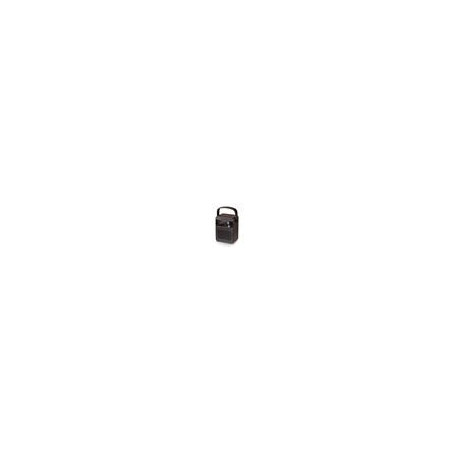 CARNEO F90 FM rádio, BT reproduktor, black/wood