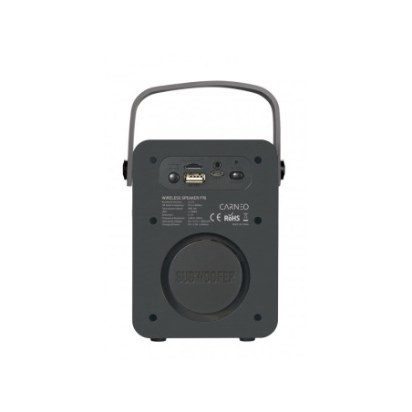 CARNEO F90 FM rádio, BT reproduktor, black/wood