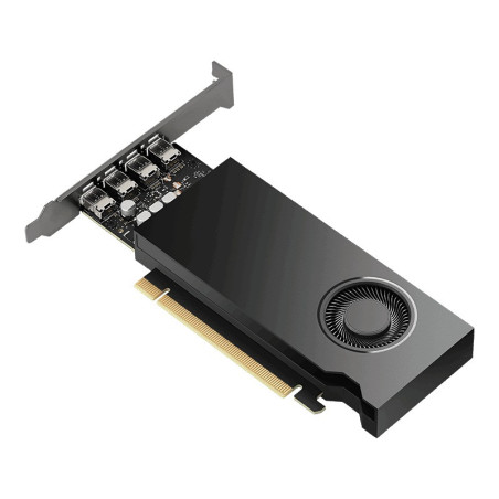 PNY NVIDIA RTX 2000 Ada Generation/16GB/GDDR6