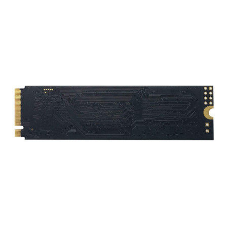 PATRIOT P300/1TB/SSD/M.2 NVMe/5R