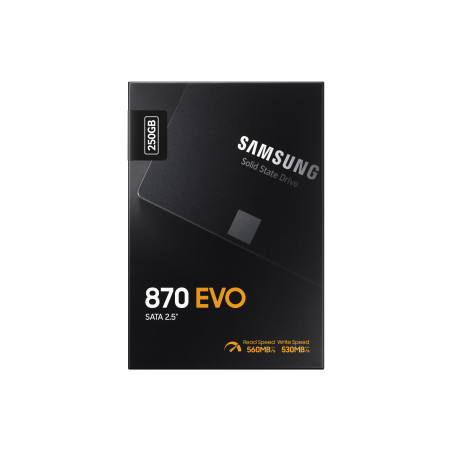 Samsung 870 EVO/250GB/SSD/2.5"/SATA/5R