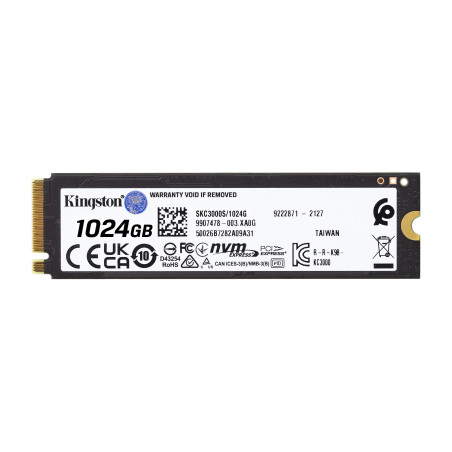 Kingston KC3000/1TB/SSD/M.2 NVMe/Heatsink/5R