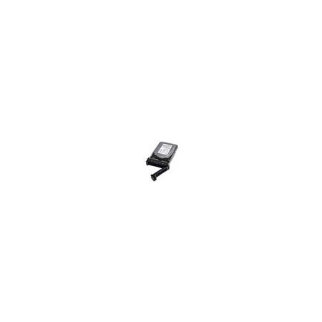 Dell/2TB/HDD/3.5"/SATA/7200 RPM/1R