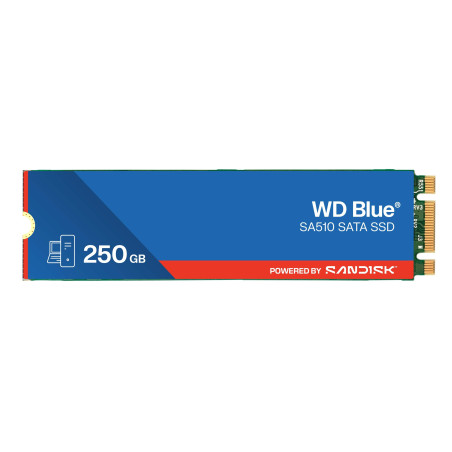 WD Blue SA510/250GB/SSD/M.2 SATA/5R