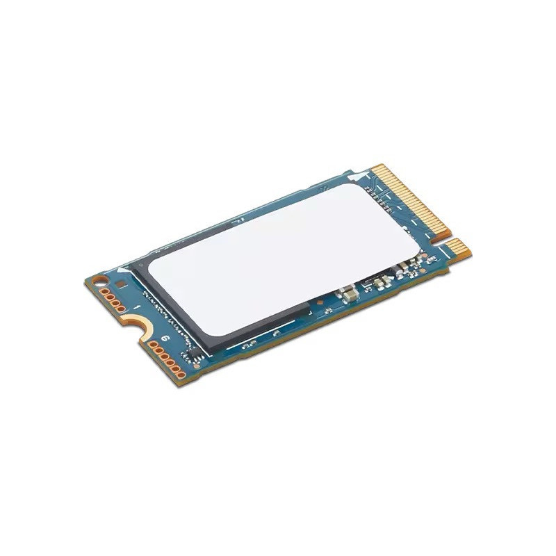 Lenovo ThinkPad/512GB/SSD/M.2 NVMe/1R