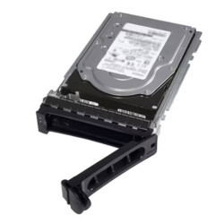 Dell/2,4TB/HDD/3.5"/SAS/10K RPM/1R