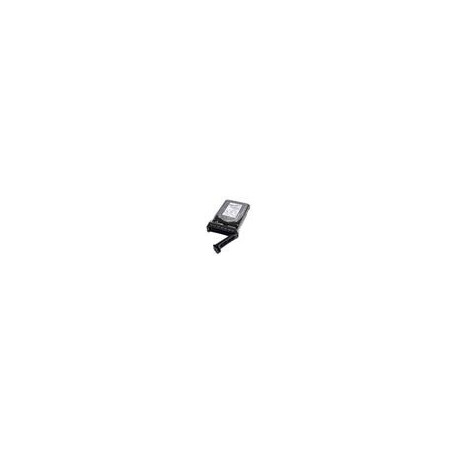 Dell/2,4TB/HDD/3.5"/SAS/10K RPM/1R