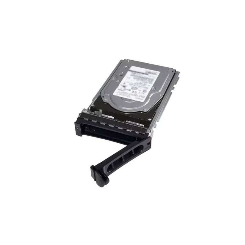 Dell/2,4TB/HDD/3.5"/SAS/10K RPM/1R