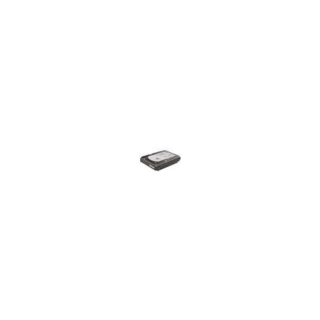 Dell/1TB/HDD/3.5"/SATA/7200 RPM/1R