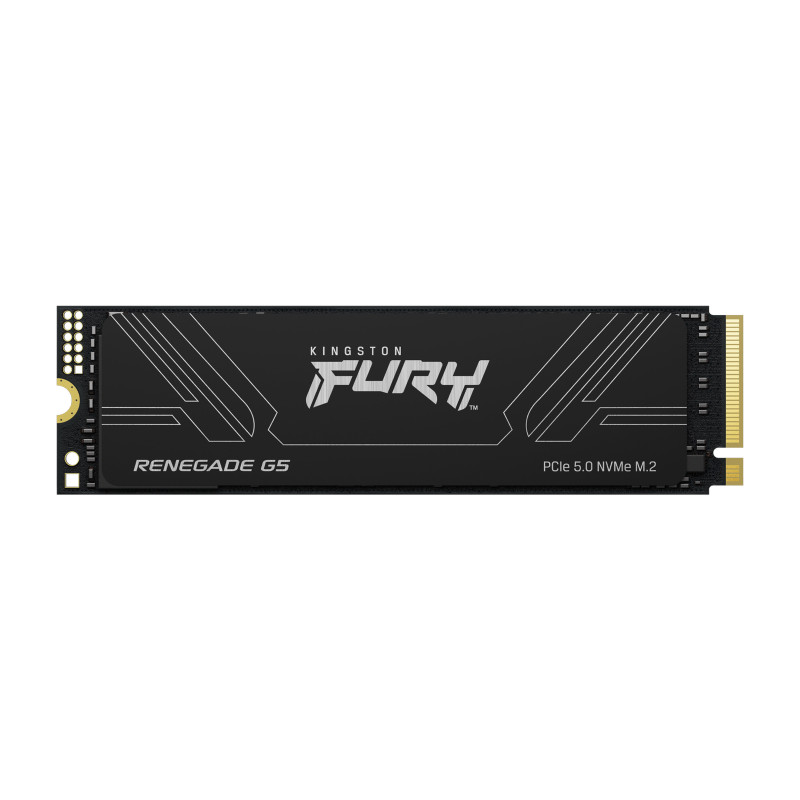 Kingston Fury Renegade G5/4TB/SSD/M.2 NVMe/Čierna/Heatsink/5R