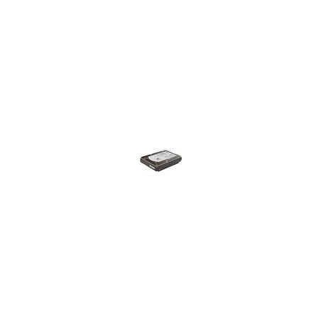 Dell/2TB/HDD/3.5"/SATA/7200 RPM/1R
