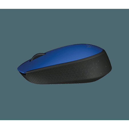 Logitech M171/Kancelárska/Optická/1 000 DPI/Bezdrôtová USB/Čierna-modrá