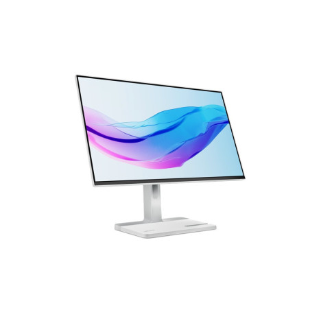 Lenovo/L24m-4A/23,8"/IPS/FHD/100Hz/1ms/Gray/3R
