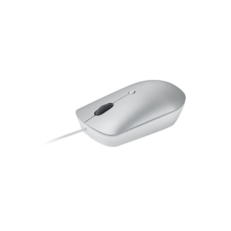 Lenovo 540/Kancelárska/Optická/2 400 DPI/Drôtová USB-C/Sivá