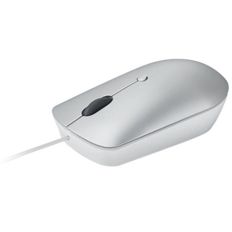 Lenovo 540/Kancelárska/Optická/2 400 DPI/Drôtová USB-C/Sivá