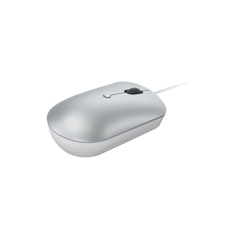 Lenovo 540/Kancelárska/Optická/2 400 DPI/Drôtová USB-C/Sivá