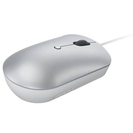 Lenovo 540/Kancelárska/Optická/2 400 DPI/Drôtová USB-C/Sivá