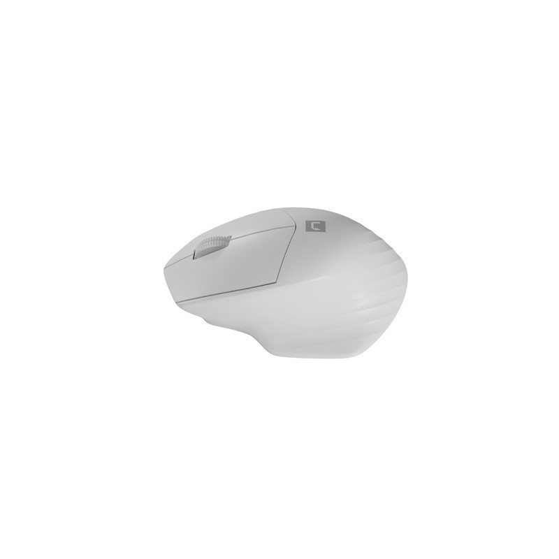 Natec optická myš SISKIN 2/Kancelárska/Optická/Pre pravákov/1 600 DPI/USB+BT/Biela