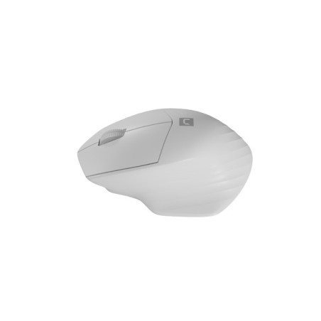 Natec optická myš SISKIN 2/Kancelárska/Optická/Pre pravákov/1 600 DPI/USB+BT/Biela