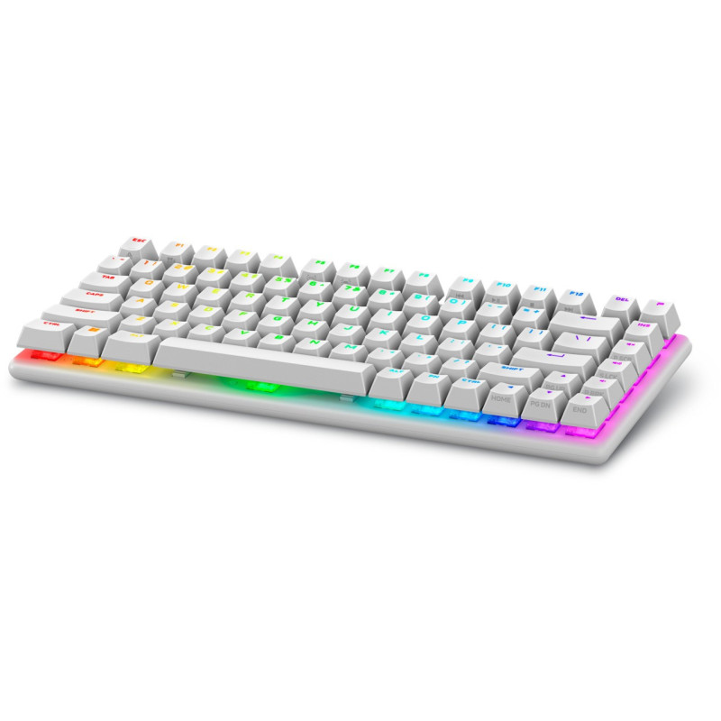 Alienware/Bezdrôtová USB + Bluetooth/IE layout/Biela