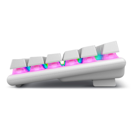 Alienware/Bezdrôtová USB + Bluetooth/IE layout/Biela