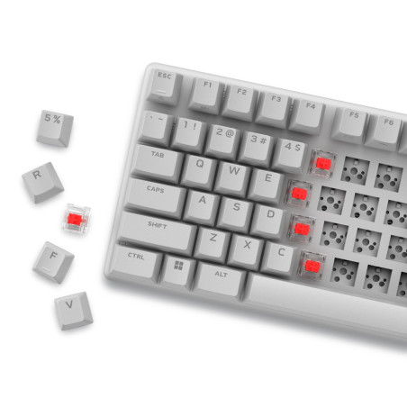 Alienware/Bezdrôtová USB + Bluetooth/IE layout/Biela