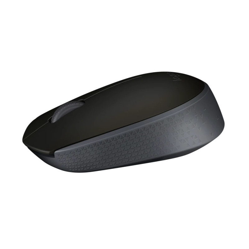 Logitech M171/Cestovná/Optická/1 000 DPI/Bezdrôtová USB/Čierna-šedá