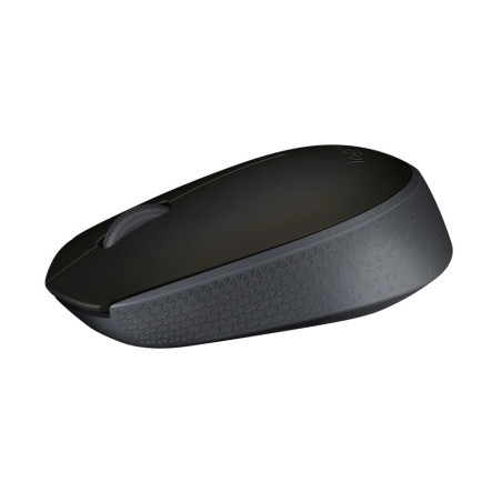 Logitech M171/Cestovná/Optická/1 000 DPI/Bezdrôtová USB/Čierna-šedá