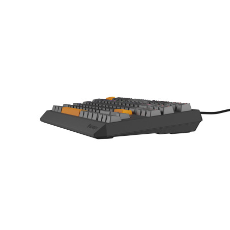 Genesis herná klávesnica THOR 230/TKL/RGB/Outemu Red/Drôtová USB/US layout/Anchor Positive Šedá