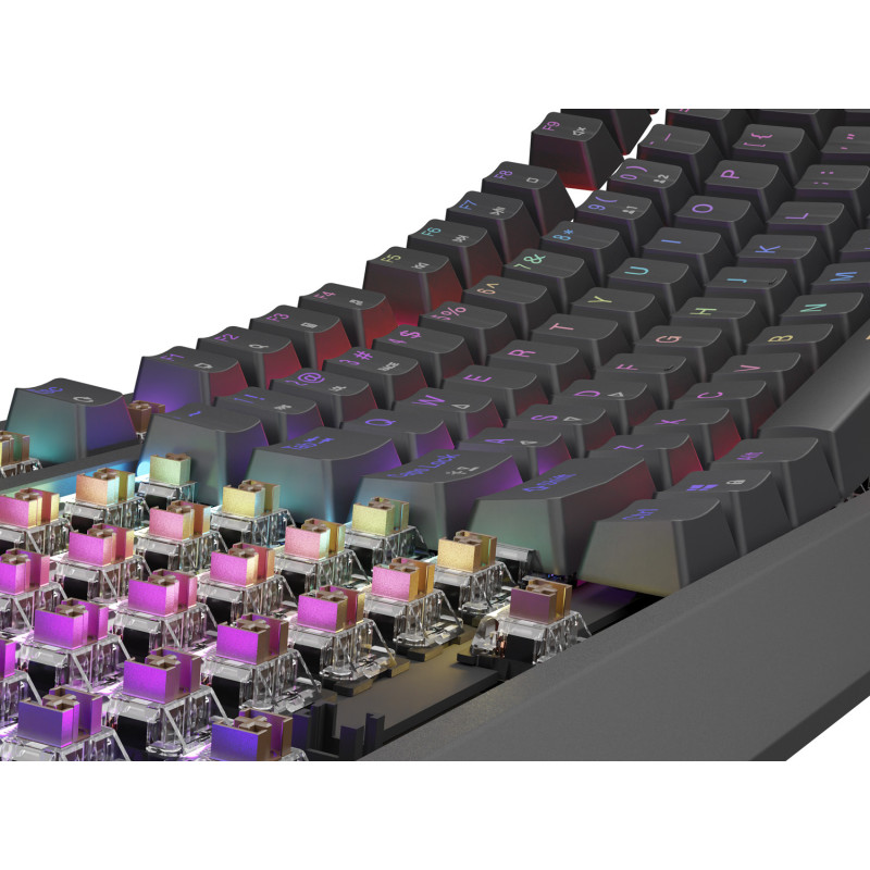 Genesis herná klávesnica THOR 230/TKL/RGB/Outemu Brown/Drôtová USB/US layout/Čierna