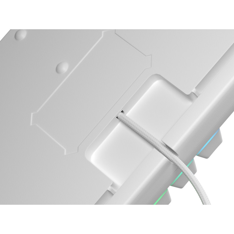 Genesis tichá herná klávesnica THOR 303/TKL/RGB/Outemu Peach Silent/Drôtová USB/US layout/Biela