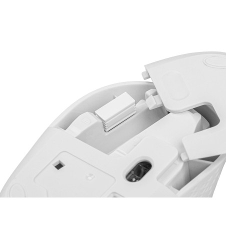 Myš Natec STORK/Kancelárska/Optická/1 600 DPI/Bezdrôtová USB/Biela