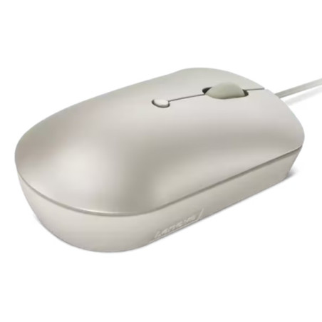 Lenovo 540/Cestová/Optická/2 400 DPI/Drôtové USB-C/Strieborná