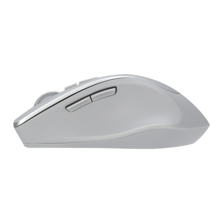 ASUS WT425/Ergonomická/Optická/Pre pravákov/1 600 DPI/Bezdrôtové USB/Strieborná