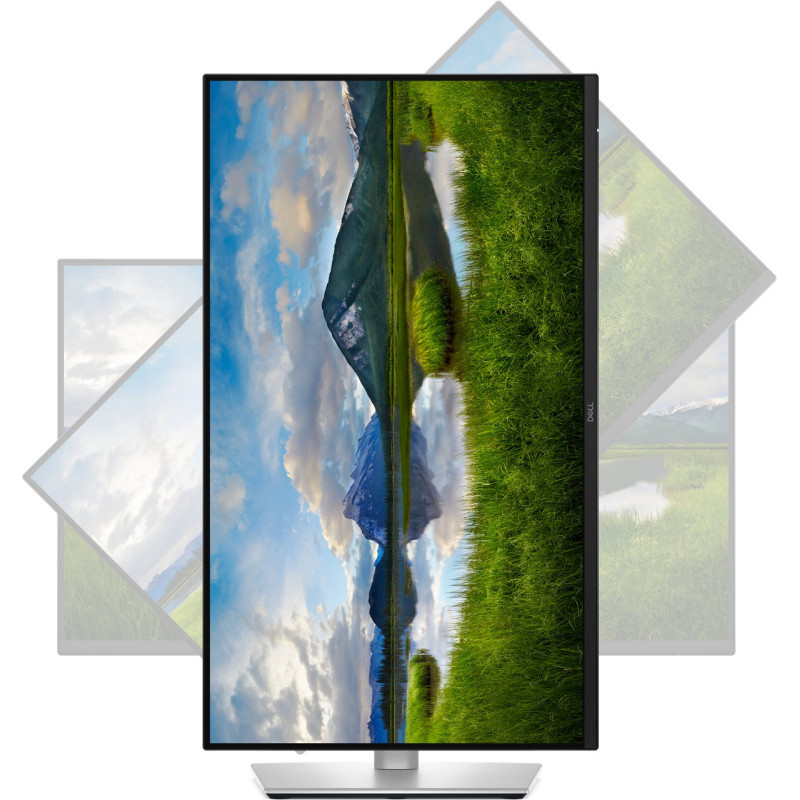 Dell Pro Plus/P2425D/23,8"/IPS/QHD/100Hz/5ms/Blck-Slvr/3R
