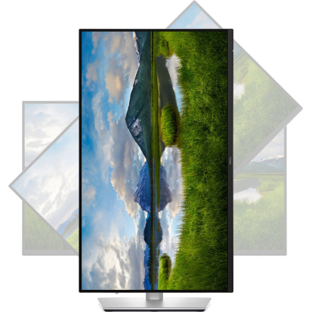 Dell Pro Plus/P2425D/23,8"/IPS/QHD/100Hz/5ms/Blck-Slvr/3R