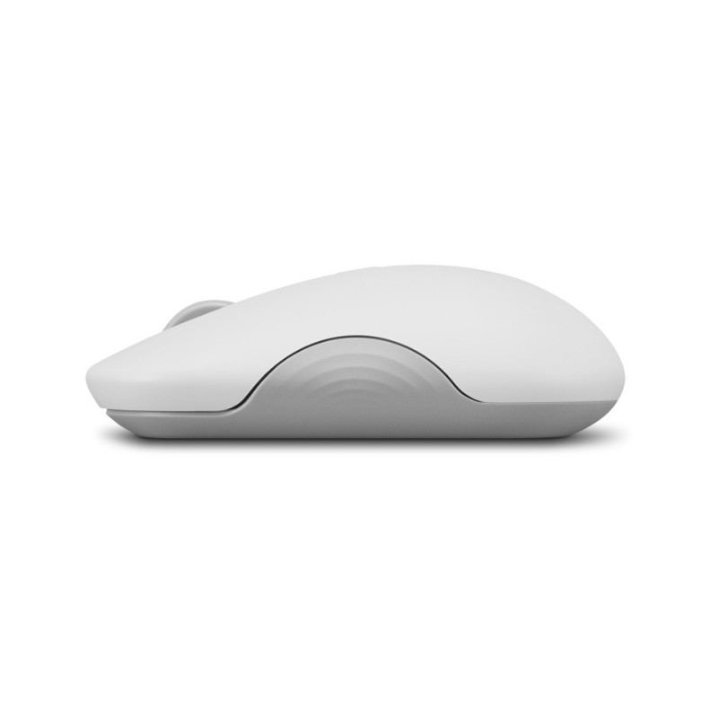 Lenovo 350 Bluetooth Silent Mouse (Cloud Grey)
