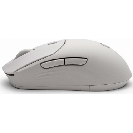 HP 400 Quiet/Kancelárska/Optická/Pre pravákov/1 200 DPI/USB+BT/Sivá