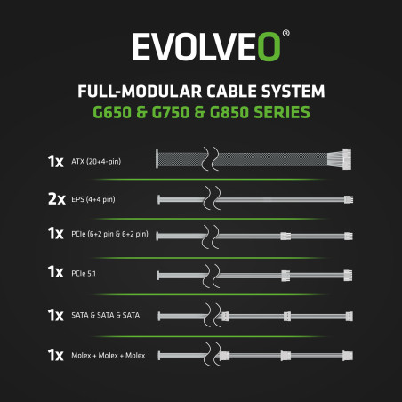 EVOLVEO G750,750W,ATX3.1,14cm,aPFC,80+GOLD,3YRW