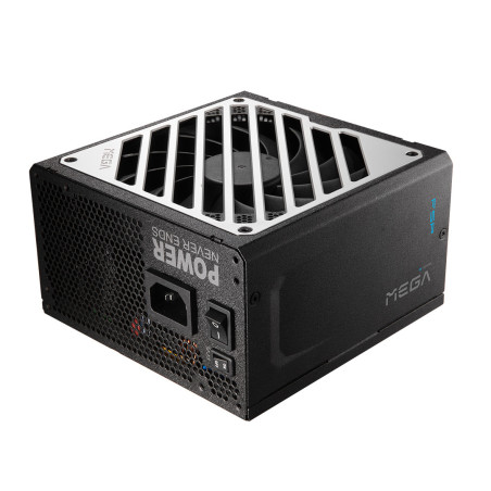 FSP MEGA GM/1000W/ATX 3.1/80PLUS Gold/Modular/Retail