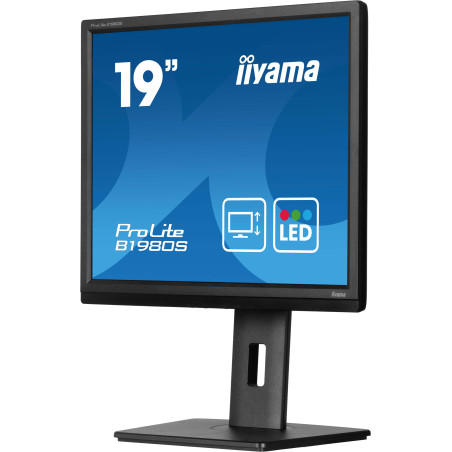 iiyama ProLite/B1980S-B1/19"/TN/1280x1024/75Hz/3ms/Black/3R