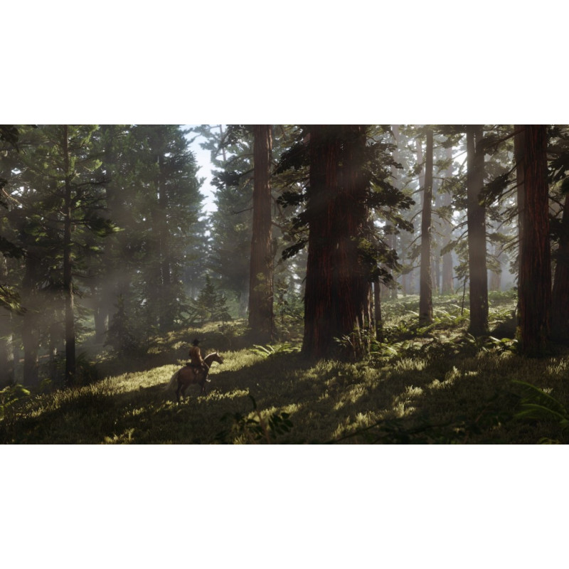 PS4 - Red Dead Redemption 2