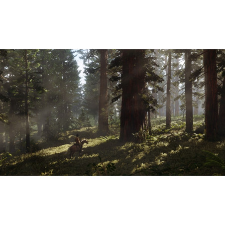 PS4 - Red Dead Redemption 2