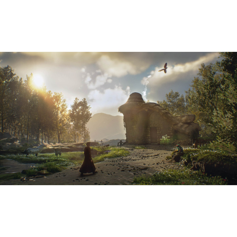 PS5 - Hogwarts Legacy
