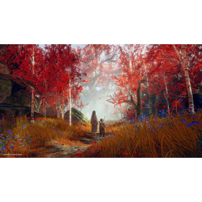 PS4 - HITS God of War