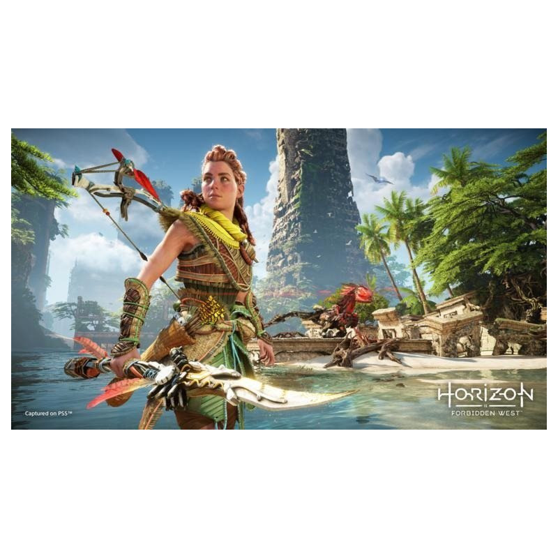 PS4 - Horizon Forbidden West