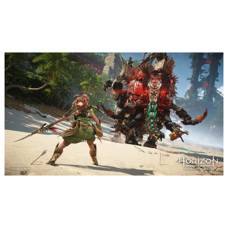 PS4 - Horizon Forbidden West