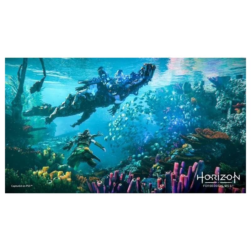 PS4 - Horizon Forbidden West