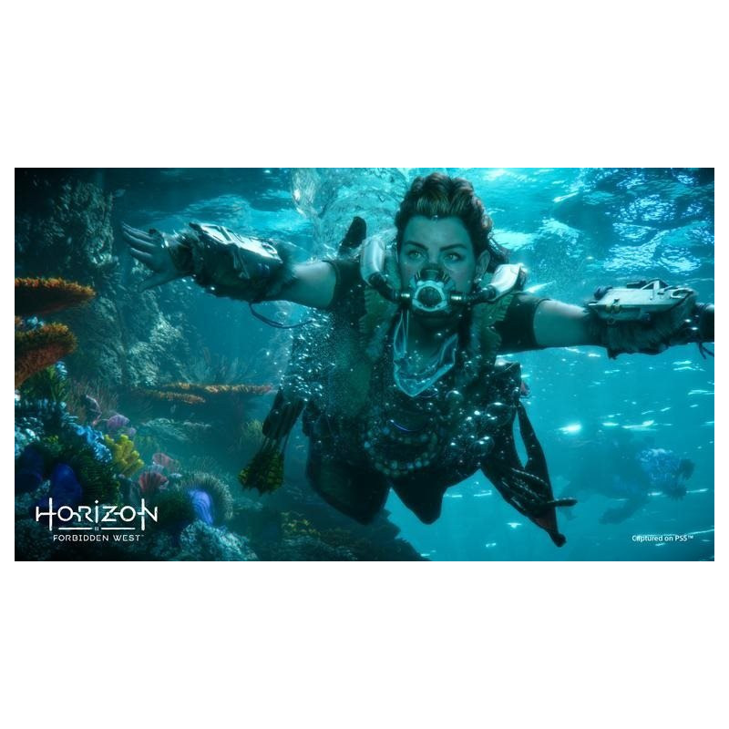 PS4 - Horizon Forbidden West